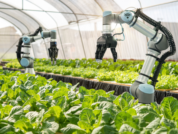 Agri-Tech & Cow Monitoring